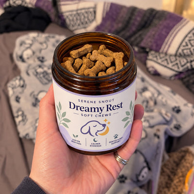 Dreamy Rest soft chews held in hand