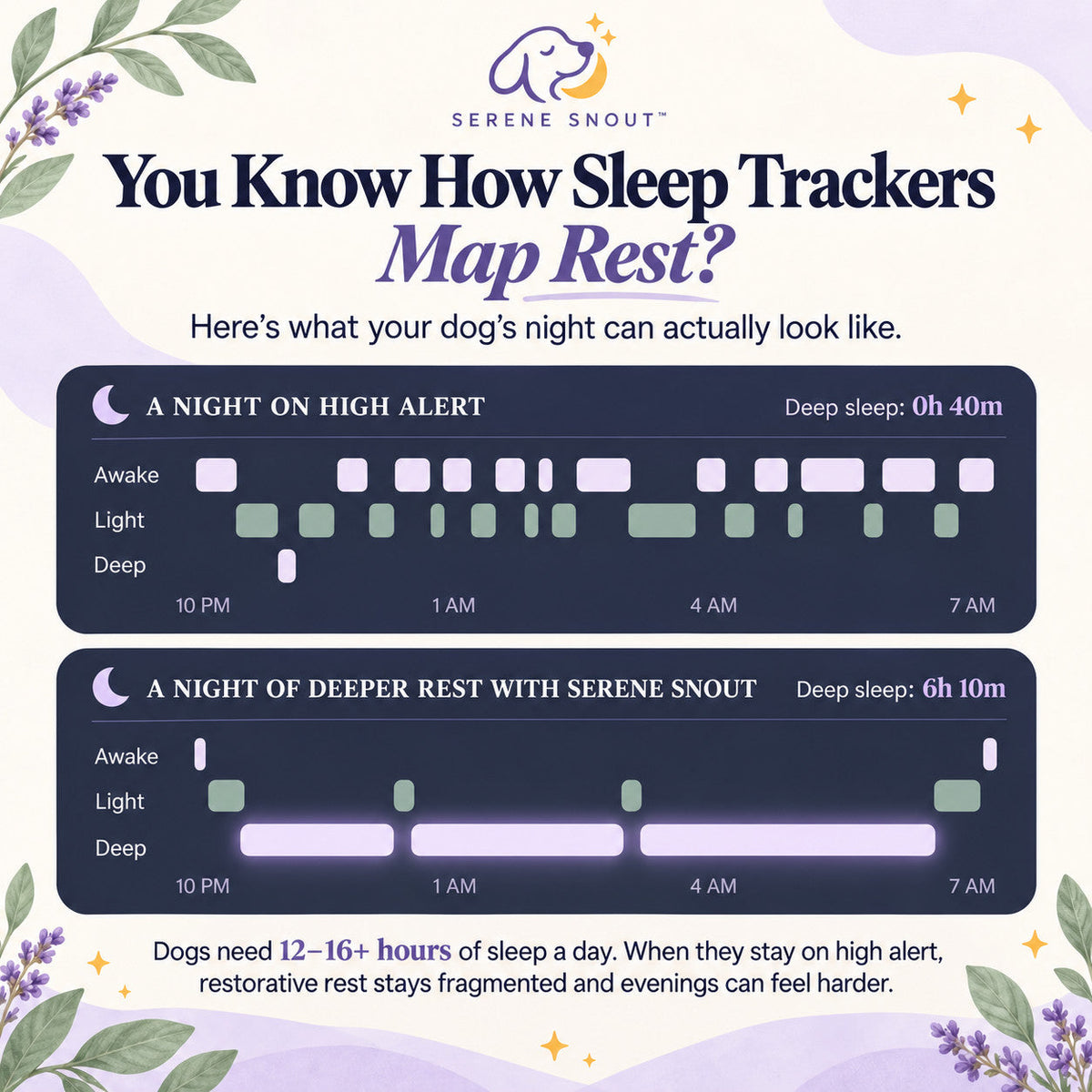 Illustration comparing a restless night with a night of deeper rest