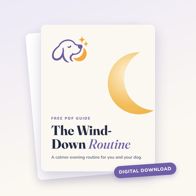 Wind-Down Routine Guide